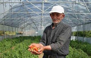 Bayburtlu çiftçinin yıkılan serası devlet eliyle...