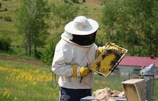 Bayburt’un bin 850 rakımlı yaylasında doğal...