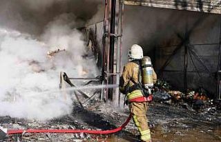 Bayramda en çok hayvan kurtardılar