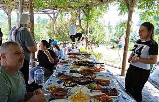 Bayramın son gününde mesirelik alanlarda piknikçiler...