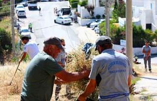 Belediyeden çevre temizliği çalışmaları