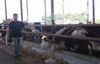 Besicinin ceylan gibi koşuyorlar dediği 300 bin...