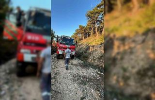 Beypazarı’nda orman yangını