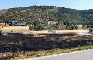 Beypazarı’nda tarla yangını