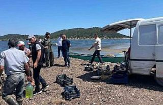 Beyşehir Gölünde ağlara vuran 17 kiloluk sazan...