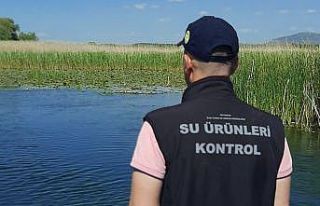 Beyşehir Gölünde denetimler av yasağının son...