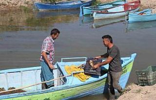 Beyşehir Gölü’nde yeni av sezonu başladı