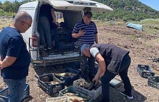 Beyşehir Gölü’nde yeni av sezonu başladı, denetimler...