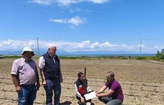 Beyşehir’de domates güvesi ile mücadele başladı