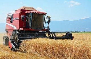 Biçerdöverlere Valilik tebliğiyle düzenleme