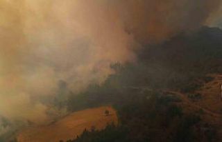 Bilecik yangını sürüyor