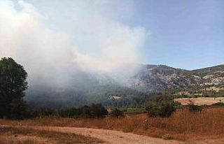 Bilecik’te başlayan orman yangını hızla büyüyor