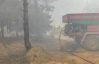 Bilecik’te buğday tarlasında çıkan yangın ormanlık...