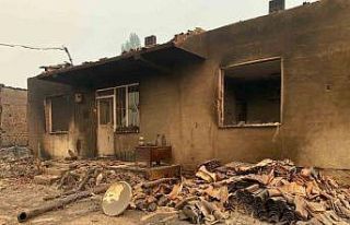 Bilecik’teki orman yangınında bir köy kül oldu