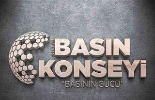 Bingöl Basın Konseyi kuruldu