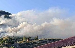 Bingöl’de ağaçlık alanda yangın