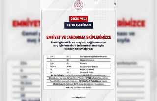 Bingöl’de aranan 103 şüpheli yakalandı