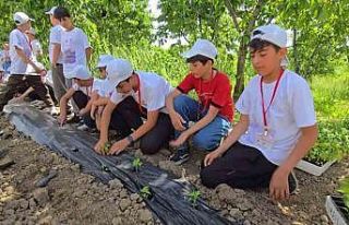 Bingöl’de TÜBİTAK 4004 başarısı