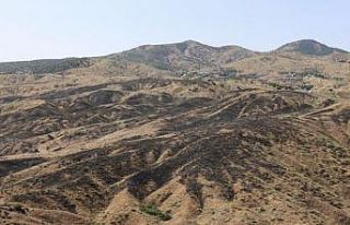 Bingöl’deki orman yangını söndürüldü