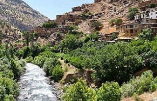 Bitlis’in saklı cenneti: Hacı Mehmet köyü doğaseverlerin...