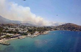 Bodrum Türkbükü makilik yangını devam ediyor