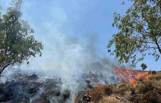 Bodrum Türkbükü’nde makilik yangını