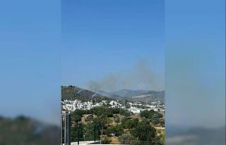 Bodrum’da makilik alanda yangın çıktı