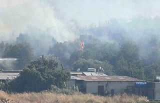 Bodrum’da makilik alanda yangın paniği