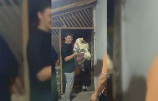 Bolu’da 100 yıllık bayram geleneği: Deve kostümü...