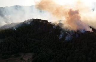 Bolu’da orman yangınına müdahale sürüyor: Yanan...