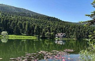 Bolu’da yangın riskine karşı ormanlık alanlara...