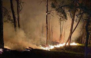 Bolu’daki orman yangını büyüyor: Karadan müdahale...