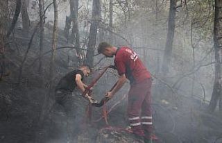 Bolu’daki orman yangını sürüyor: Ekipler ve...