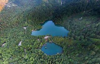 Borçka Karagöl Tabiat Parkı bayramda ziyaretçi...