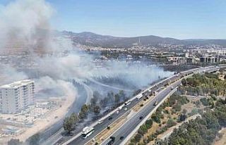 Bornova’da otluk alanda yangın