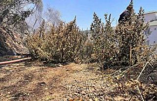 Boş araziden alevler yükseldi, vatandaşlar ve ekipler...