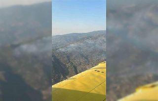 Bozdoğan yangınını söndürme çalışmaları...