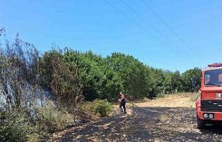 Bozdoğan’da arazi yangını