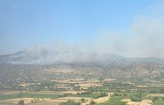 Bozdoğan’da makilik yangını