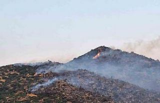 Bozdoğan’da makilik yangınına yoğun müdahale