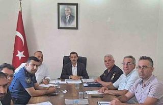 Bozdoğan’da sokak hayvanlarıyla ilgili değerlendirme...