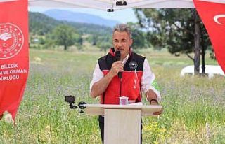 Bozüyük’te ‘Pelemir Bitkisi’ tanıtım günü...