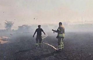 Buğday tarlasında yangın