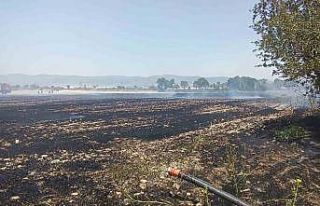 Burdur’da arazide çıkan yangında 10 dönüm anız,...