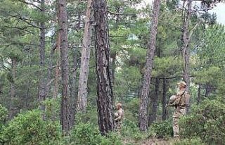 Burdur’da jandarmadan ormanlık alanlarda yangın...