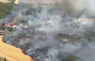 Bursa’da buğday tarlaları alevlere teslim oldu