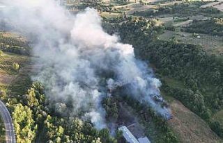 Bursa’da çöplükte çıkan yangın ormana sıçradı