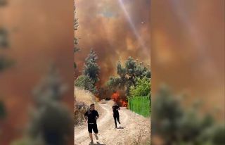 Bursa’da orman yangını köydeki evlere sıçradı...Büyük...