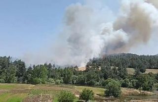 Bursa’da orman yangını: Taş ocakları mevkiindeki...