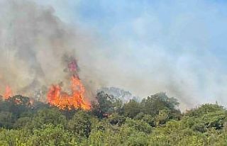 Bursa’da orman yangınlarının ardı arkası kesilmiyor